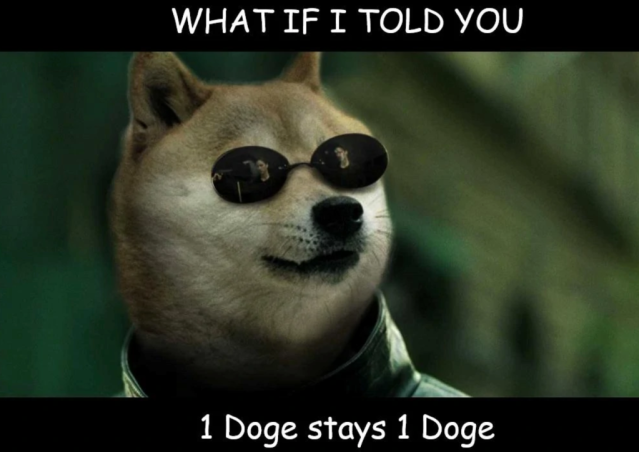 1 Doge Stays 1 Doge Meme